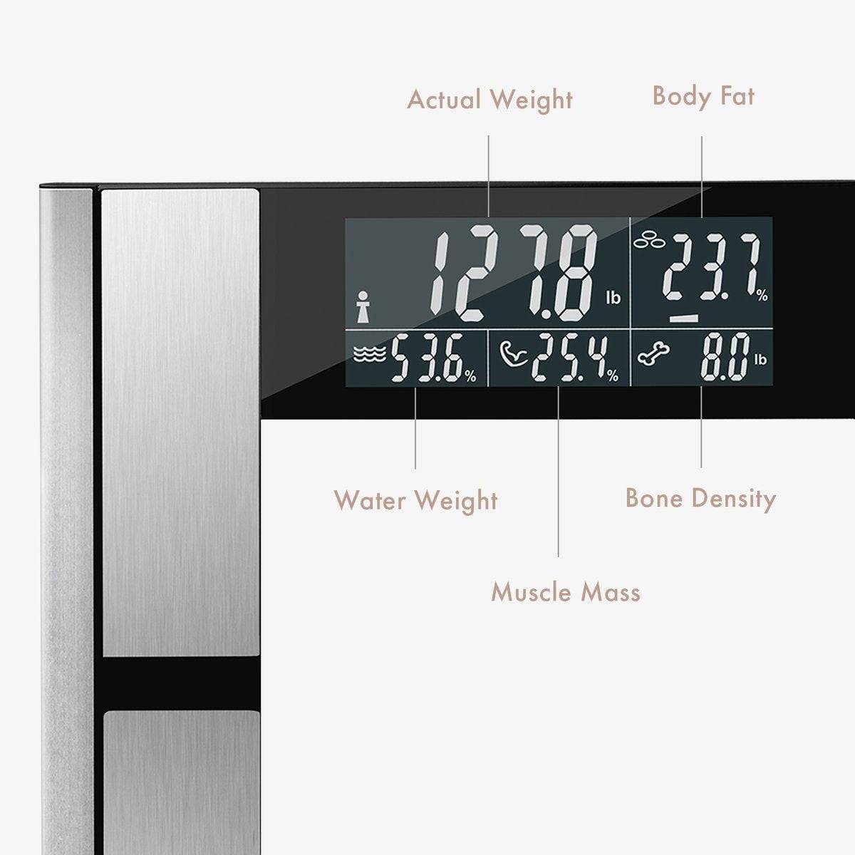 Body Analyzer Scale
